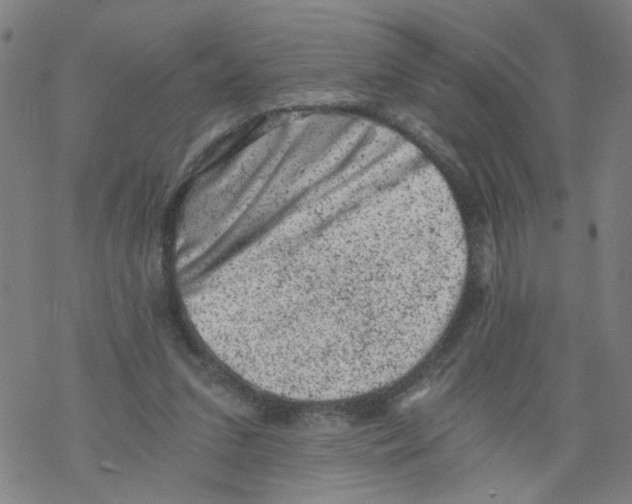 X0000068280207200605191901