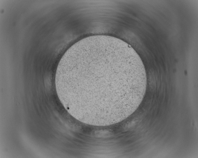 X0000068280208200605191901