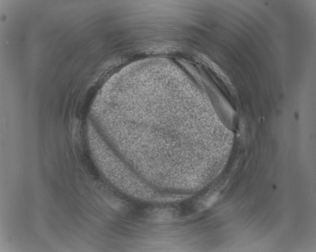 X0000068280209200605191901