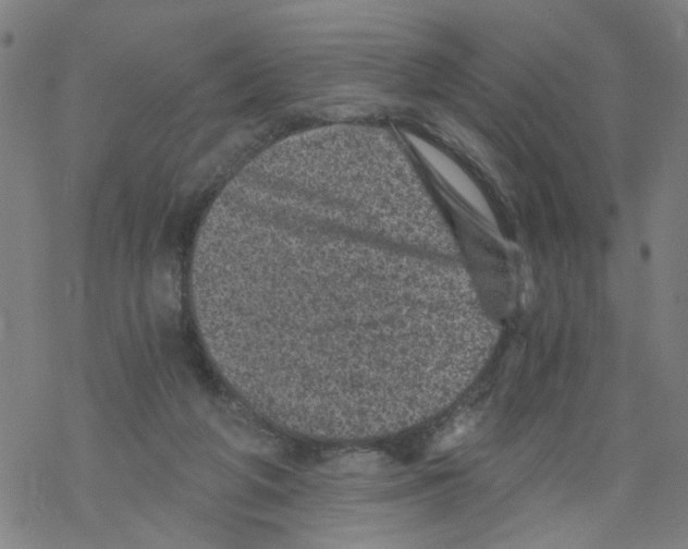 X0000068280210200605191901