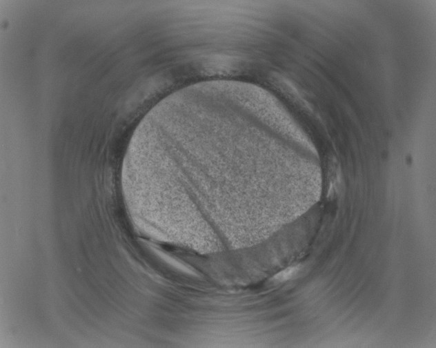 X0000068280211200605191901