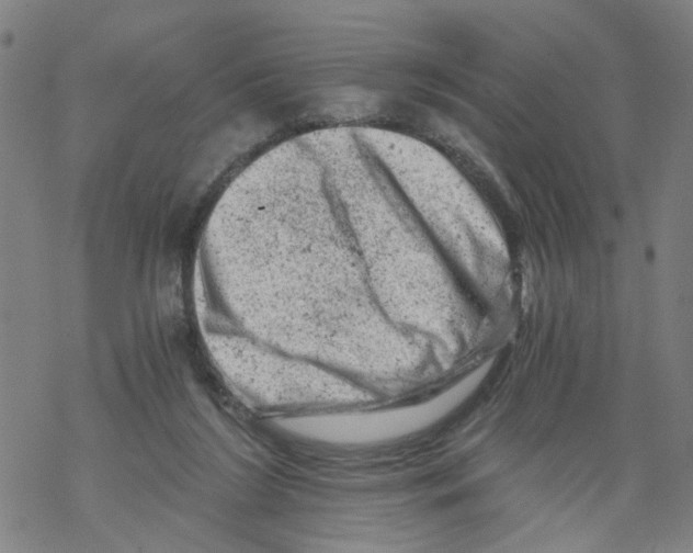 X0000068280212200605191901