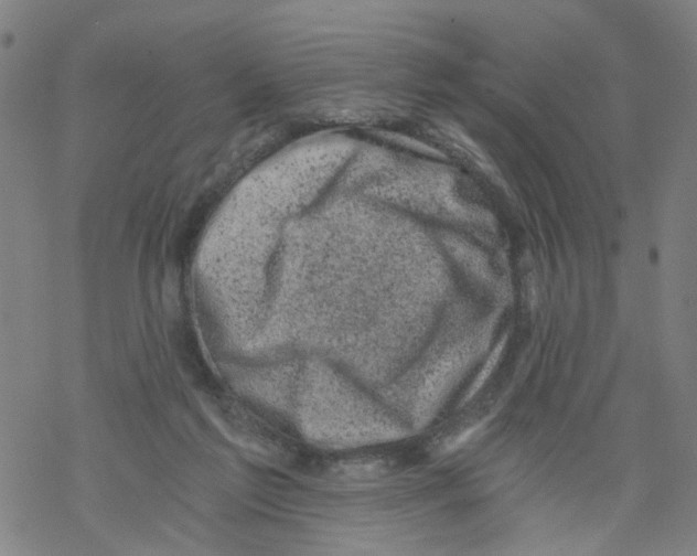 X0000068280213200605191901