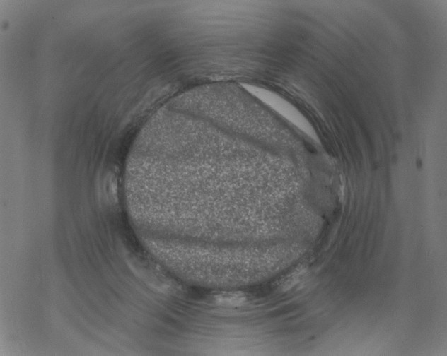 X0000068280214200605191901