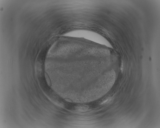 X0000068280215200605191901