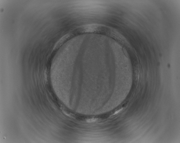 X0000068280216200605191901