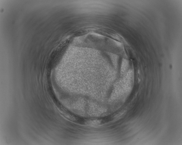 X0000068280217200605191901