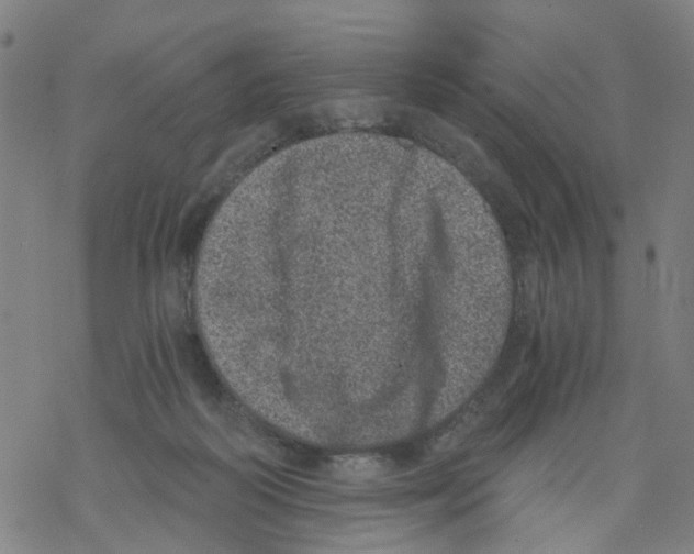 X0000068280218200605191901