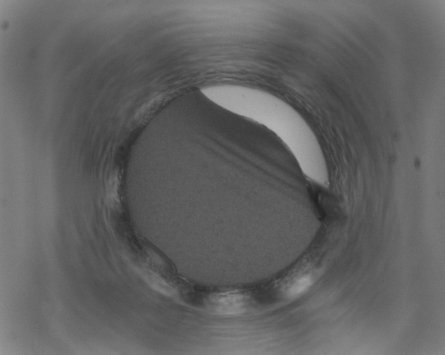 X0000068280219200605191901