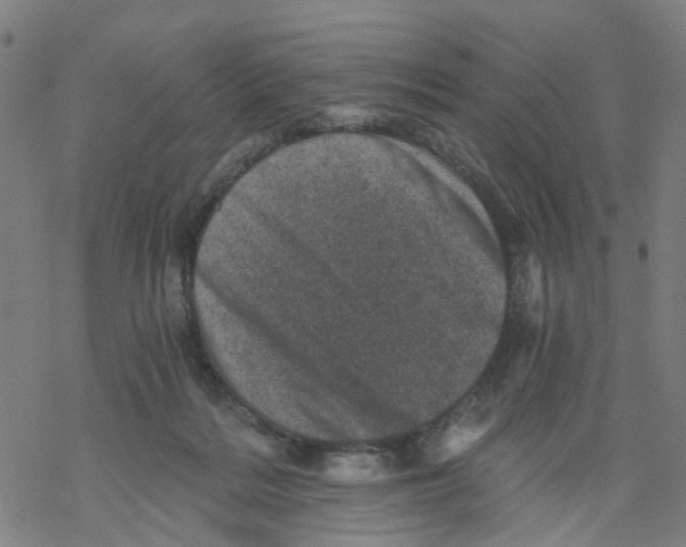 X0000068280220200605191901