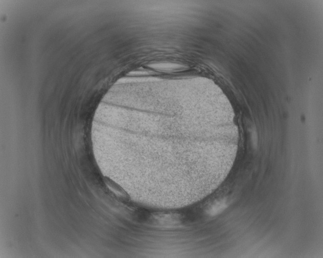 X0000068280221200605191901