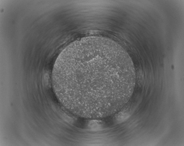 X0000068280222200605191901