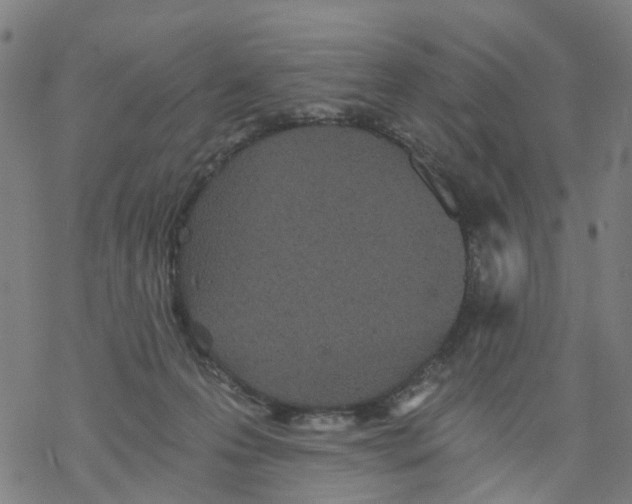 X0000068280223200605191901