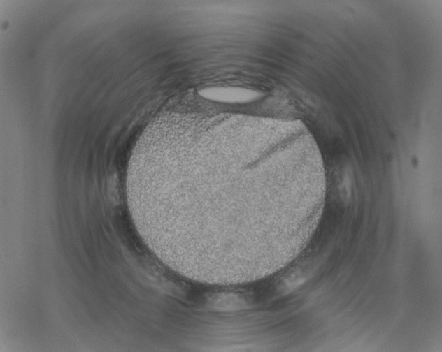 X0000068280224200605191901