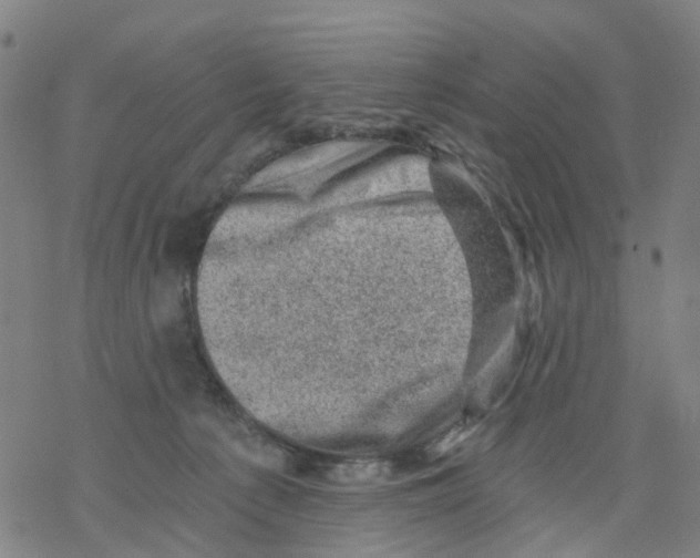 X0000068280225200605191901