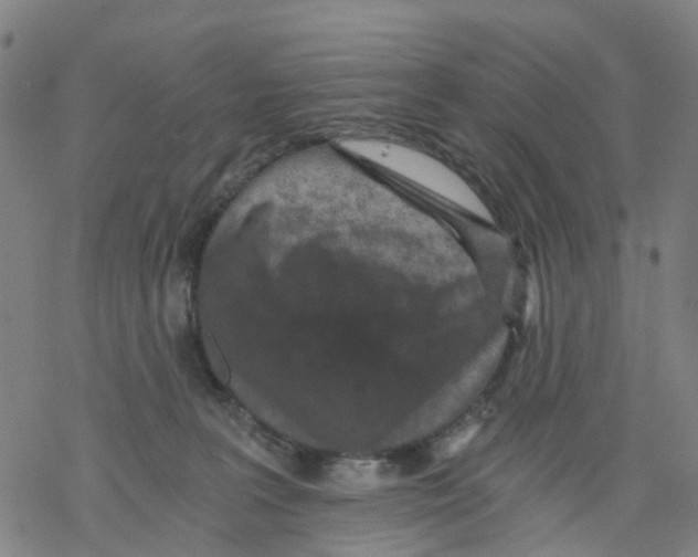 X0000068280227200605191901