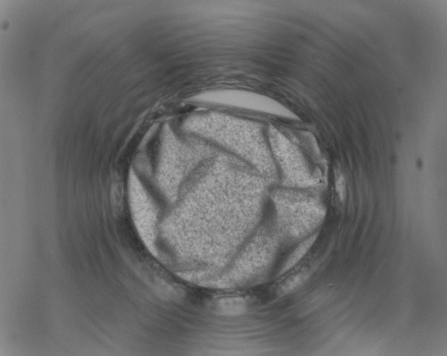 X0000068280228200605191901