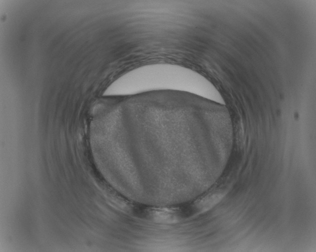 X0000068280229200605191901