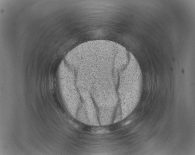 X0000068280230200605191901