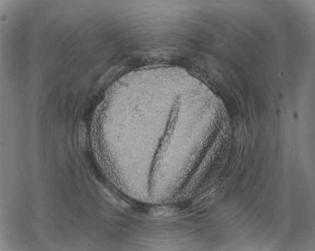 X0000068280231200605191901