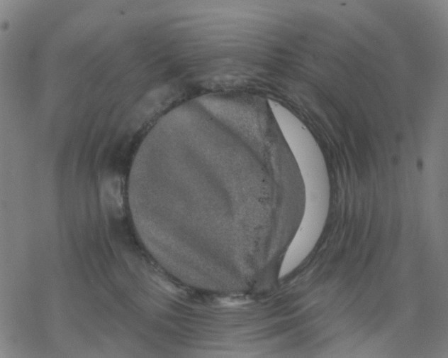 X0000068280232200605191901