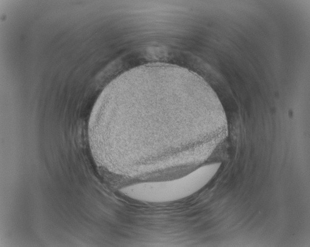 X0000068280233200605191901