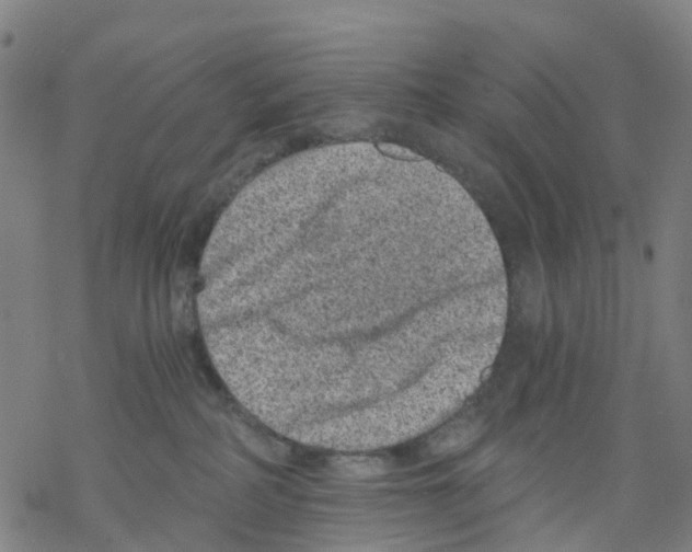 X0000068280234200605191901