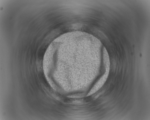 X0000068280236200605191901