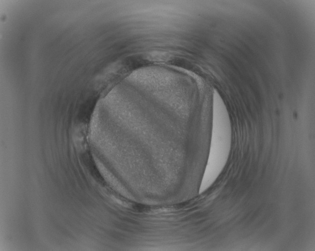 X0000068280237200605191901