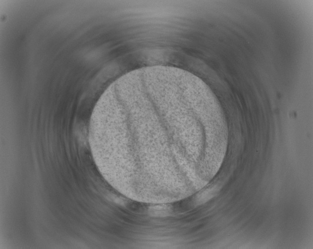 X0000068280240200605191901