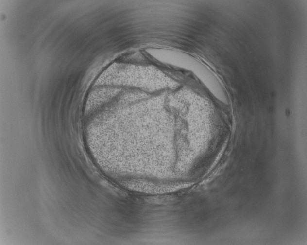 X0000068280241200605191900