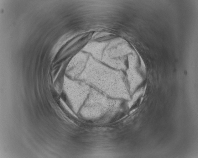 X0000068280242200605191900