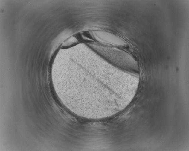 X0000068280244200605191900