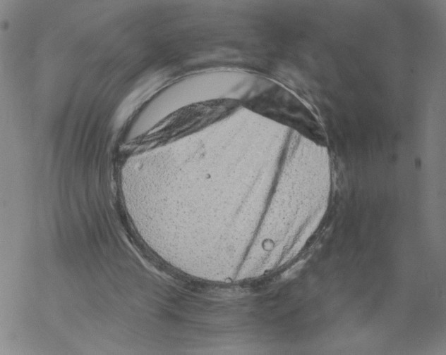 X0000068280245200605191900