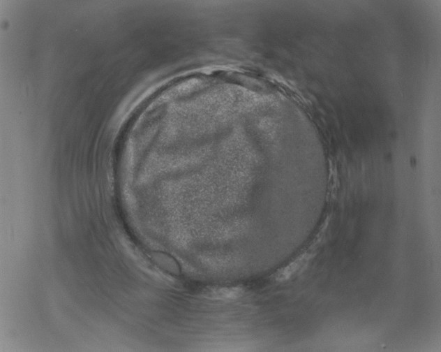 X0000068280247200605191900