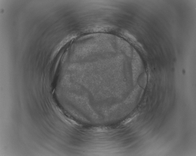 X0000068280250200605191900