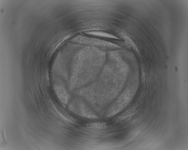 X0000068280251200605191900