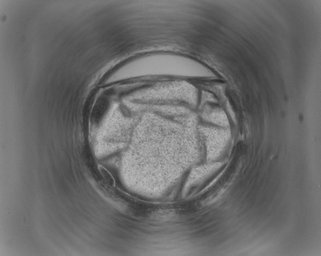 X0000068280252200605191900