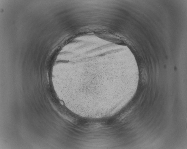 X0000068280254200605191900