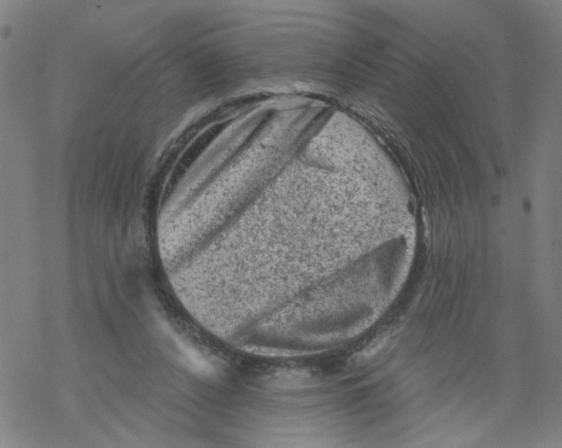 X0000068280256200605191900