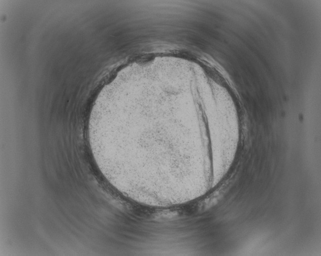 X0000068280257200605191900