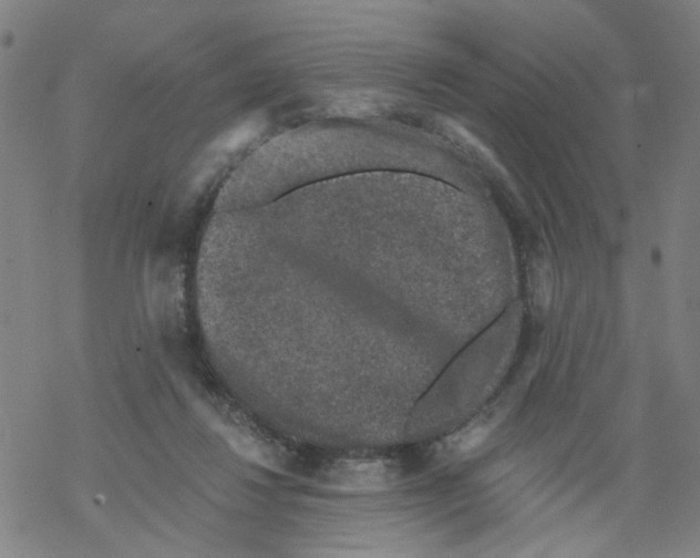 X0000068280260200605191900