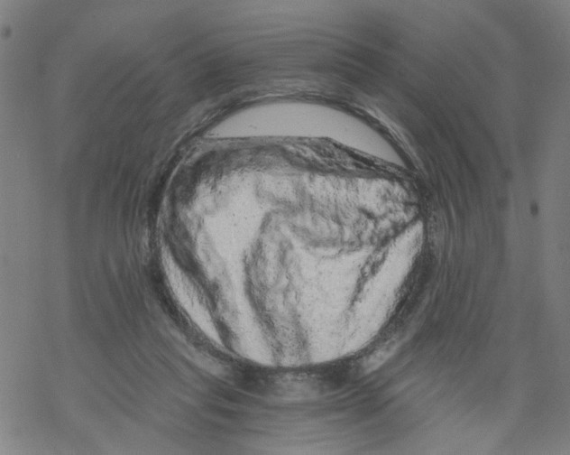 X0000068280261200605191900