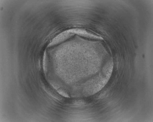 X0000068280262200605191900