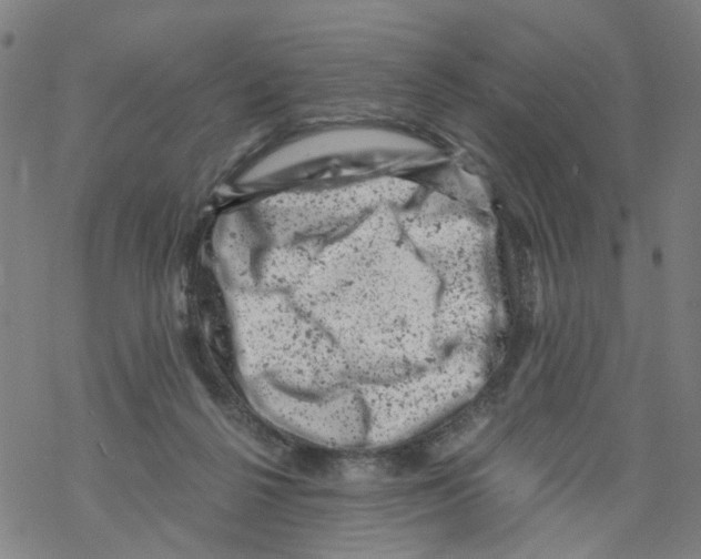 X0000068280264200605191900