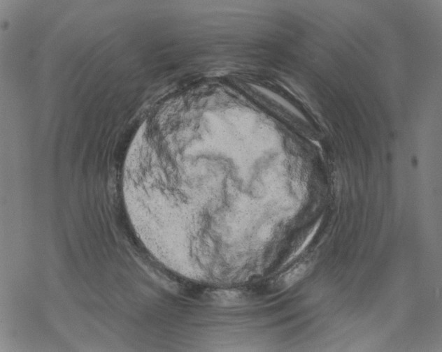 X0000068280265200605191900