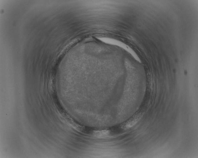 X0000068280266200605191900