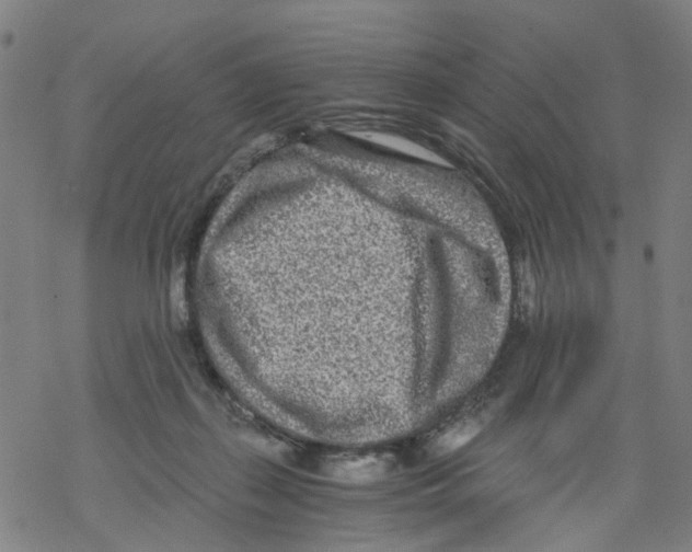 X0000068280267200605191901