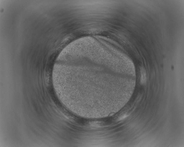 X0000068280268200605191901