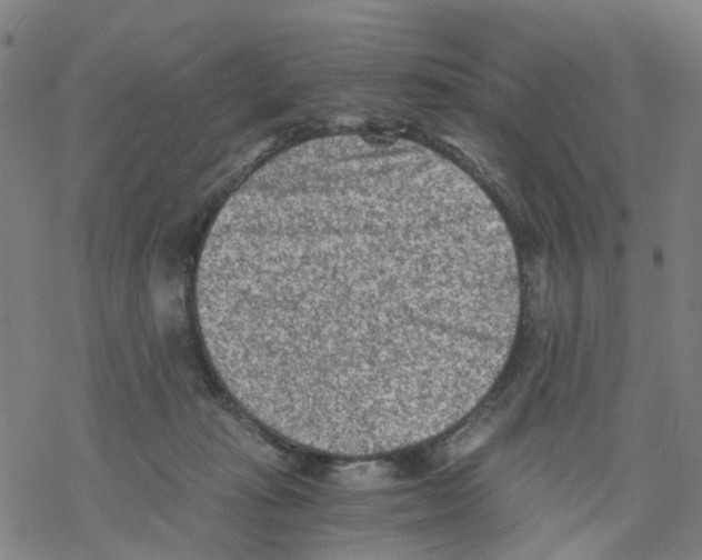 X0000068280269200605191901